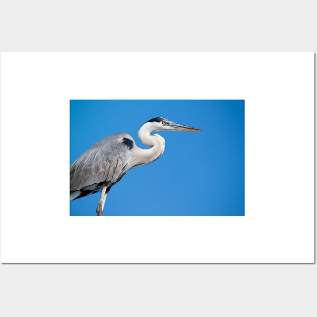 Heron Wall Art by Jacquelie